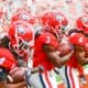 Georgia Bulldogs