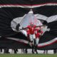 Georgia Bulldogs