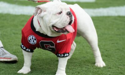 UGA Football
