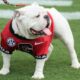 UGA Football