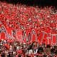 UGA Football
