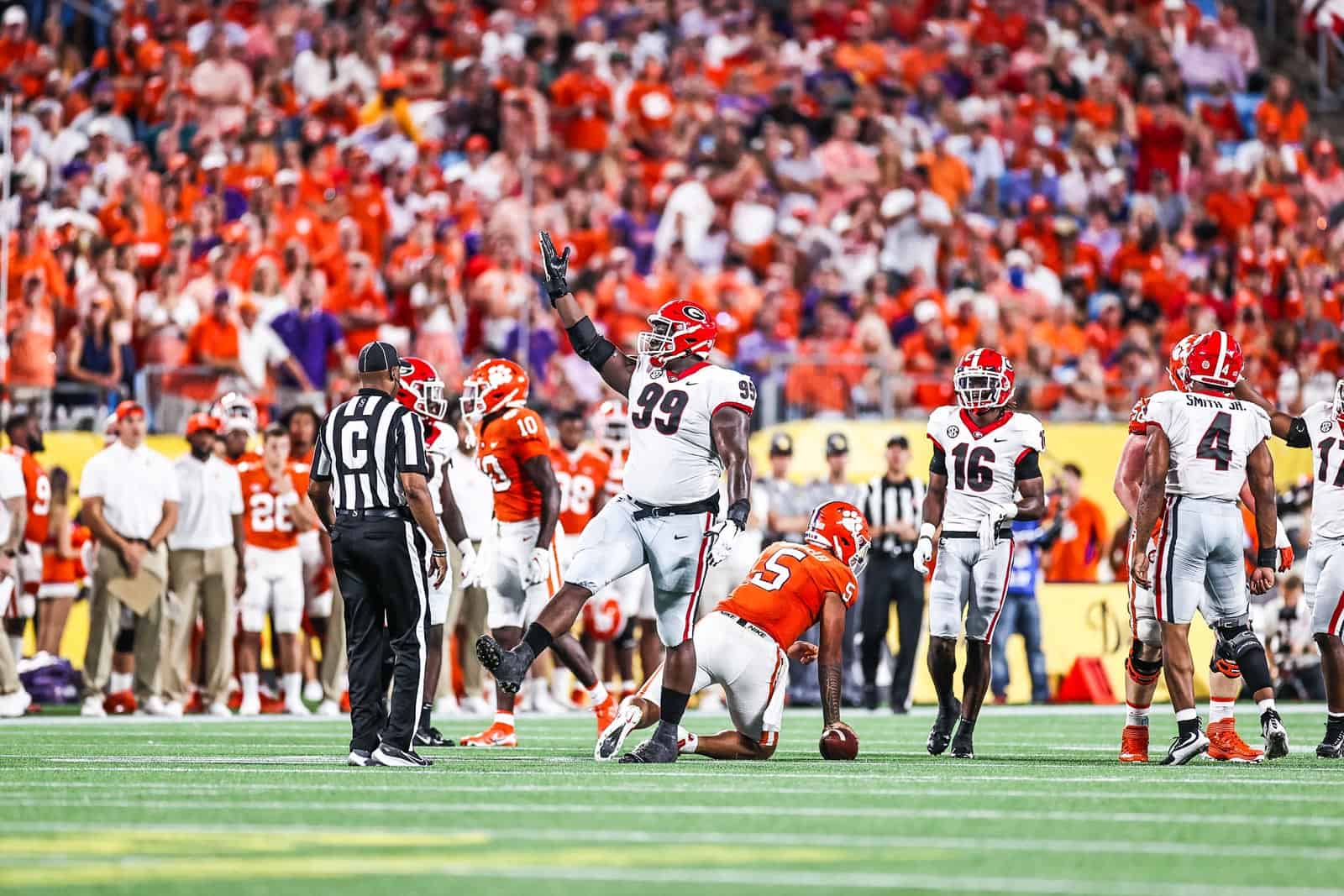 Georgia Bulldogs
