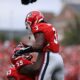 Georgia Bulldogs