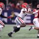 Georgia Bulldogs