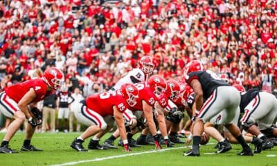 Georgia Bulldogs