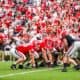Georgia Bulldogs