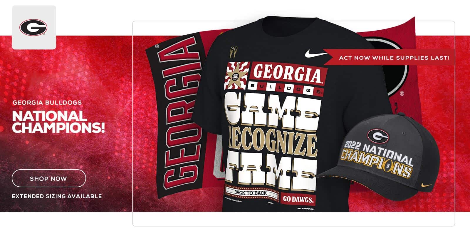 UGA football back-to-back national champions