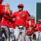 Georgia baseball