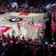 UGA Basketball