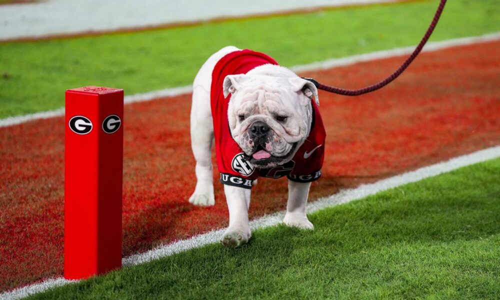 Georgia Football