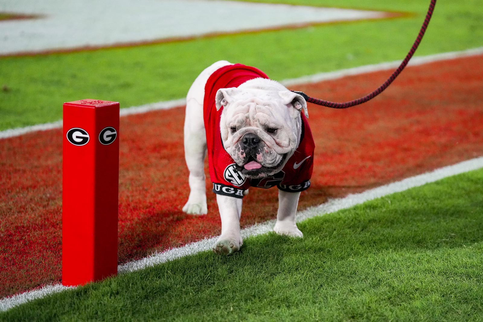 Georgia Football