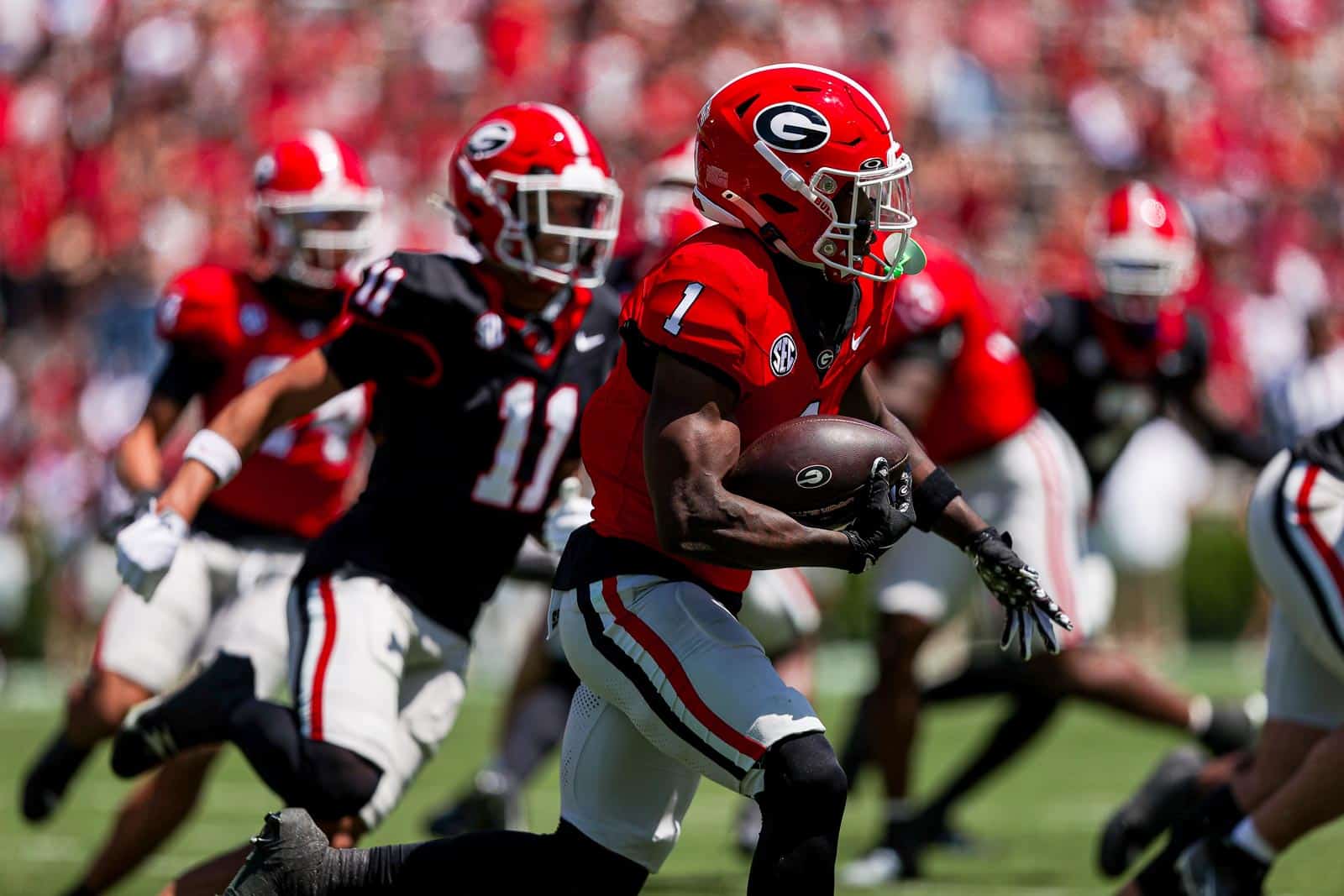 Georgia Bulldogs