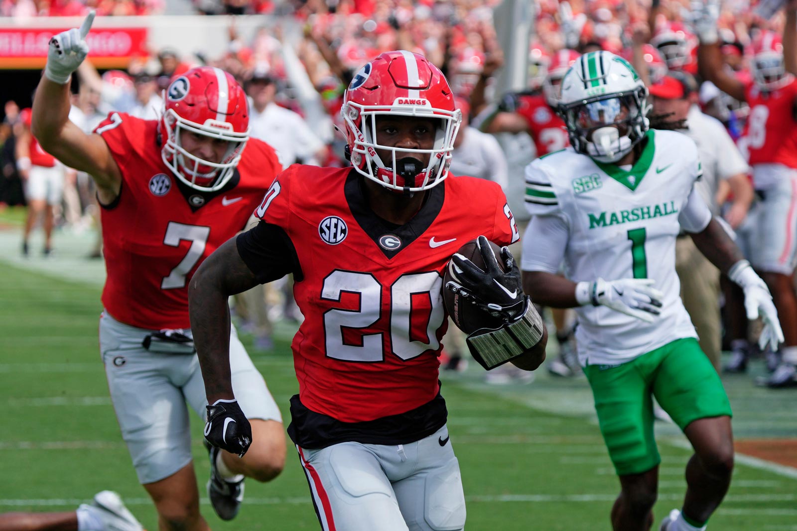 Georgia Bulldogs