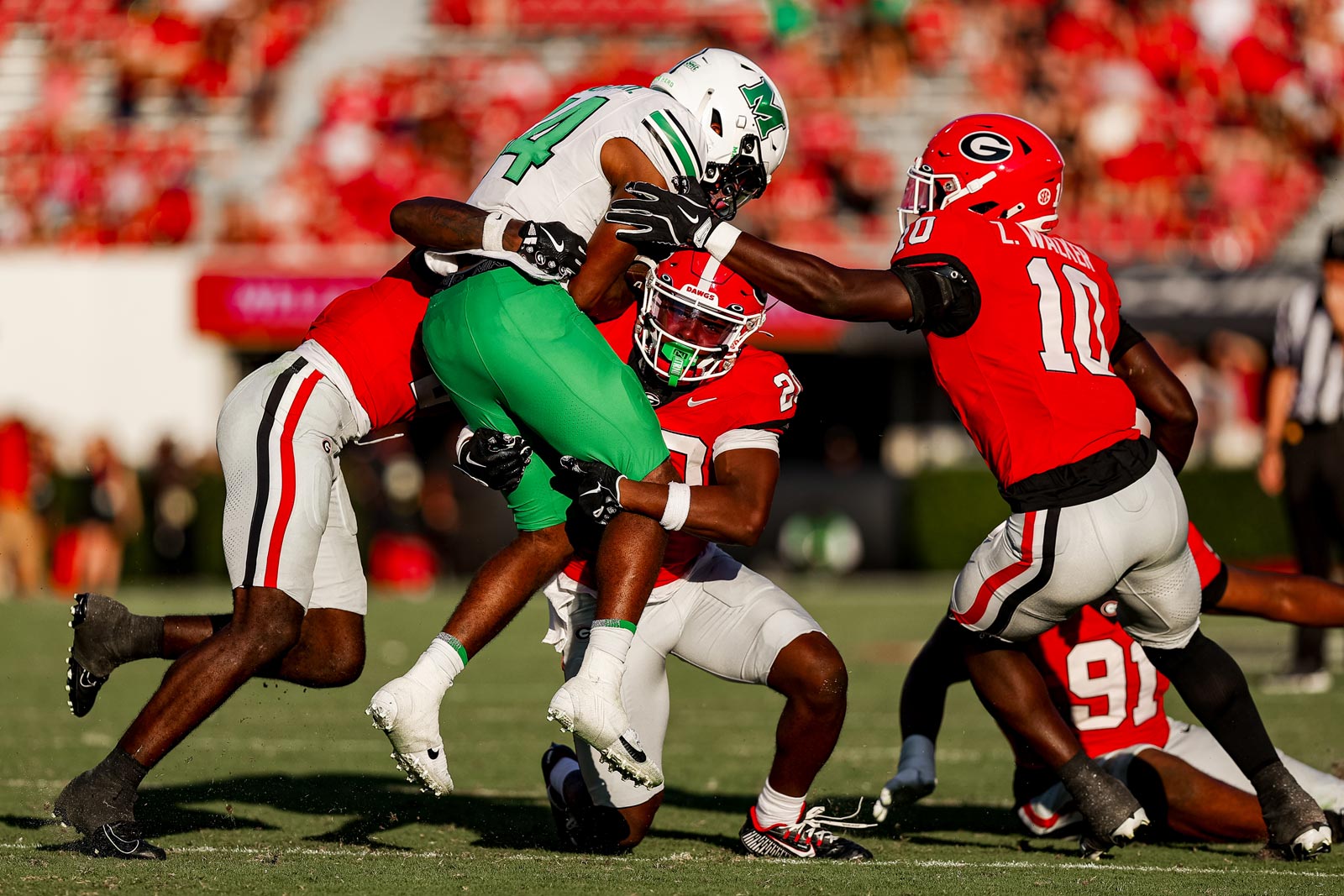 Georgia-Marshall