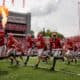 Georgia Bulldogs