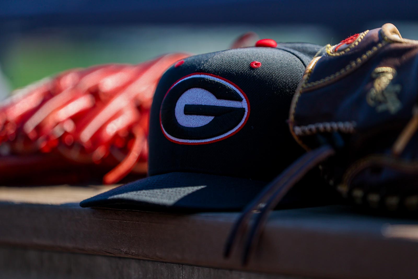 Georgia Bulldogs