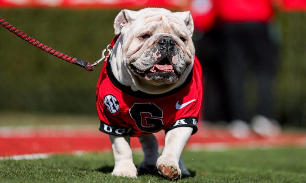 Uga XI