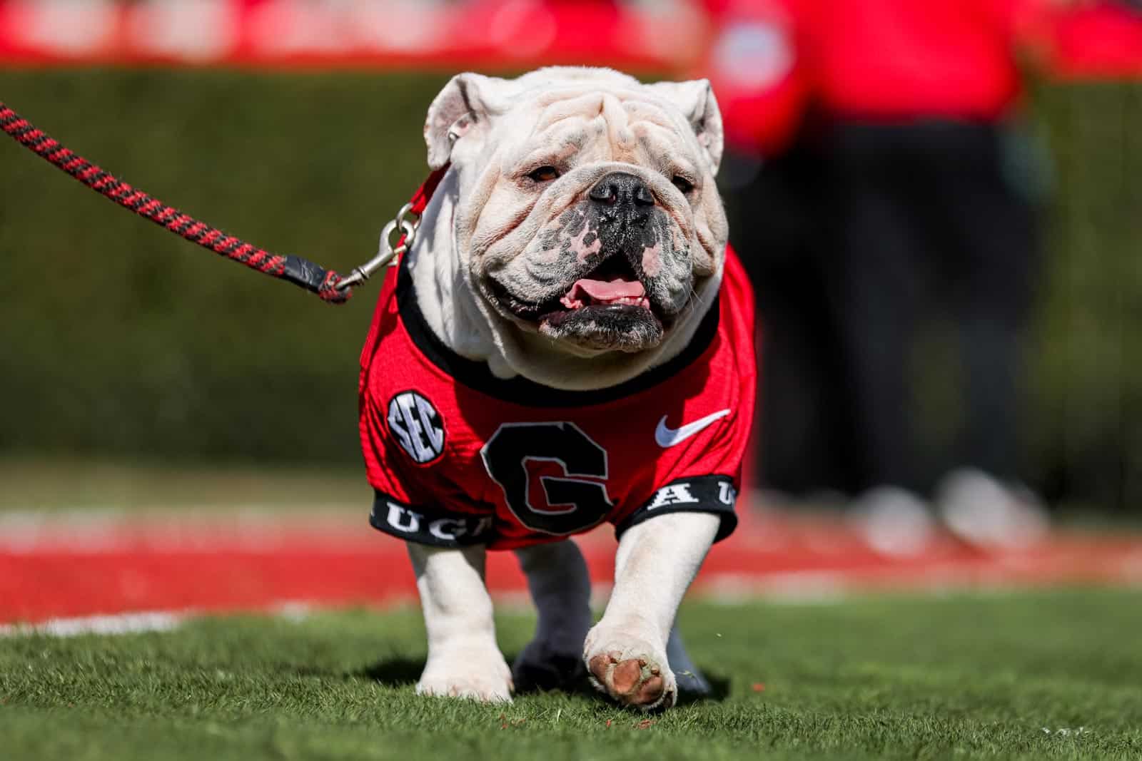 Uga XI