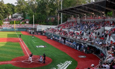 Georgia Bulldogs Baseball
