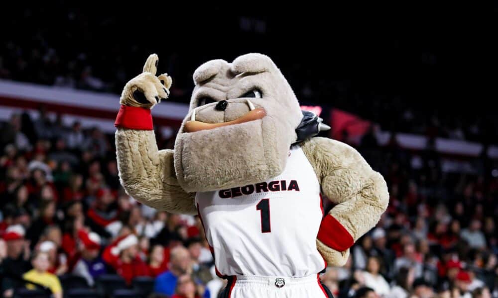 Georgia Bulldogs