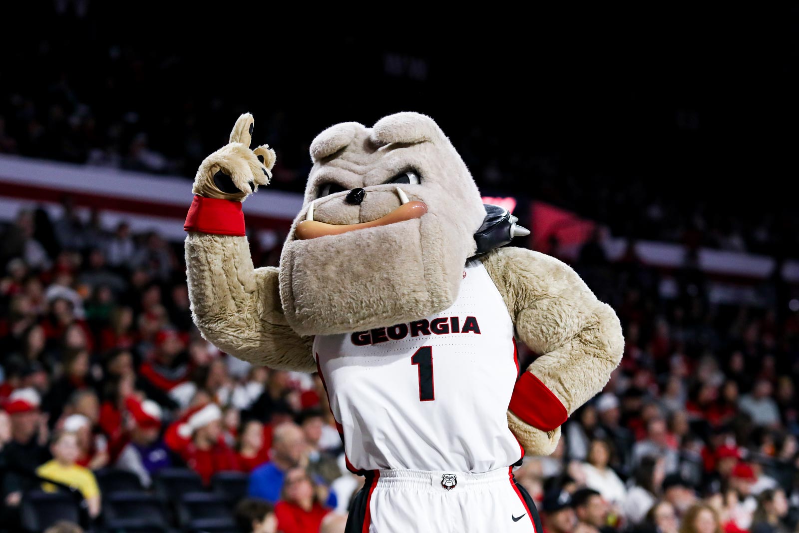 Georgia Bulldogs