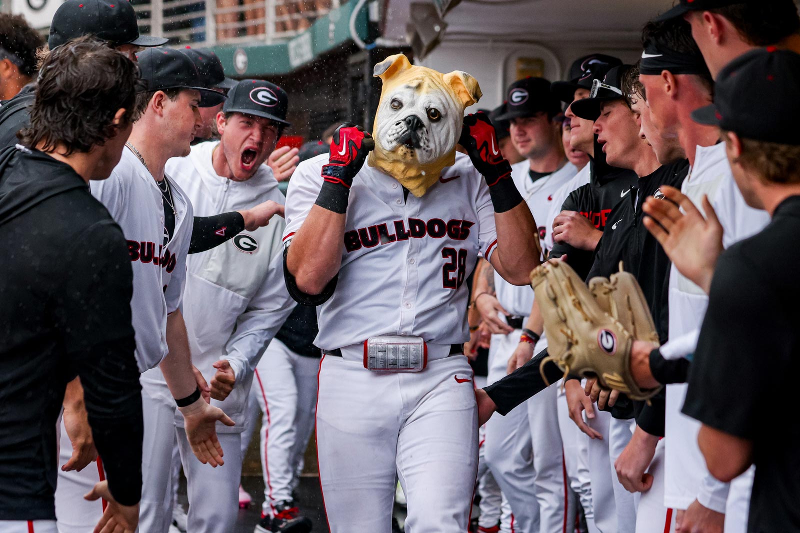 Georgia Baseball