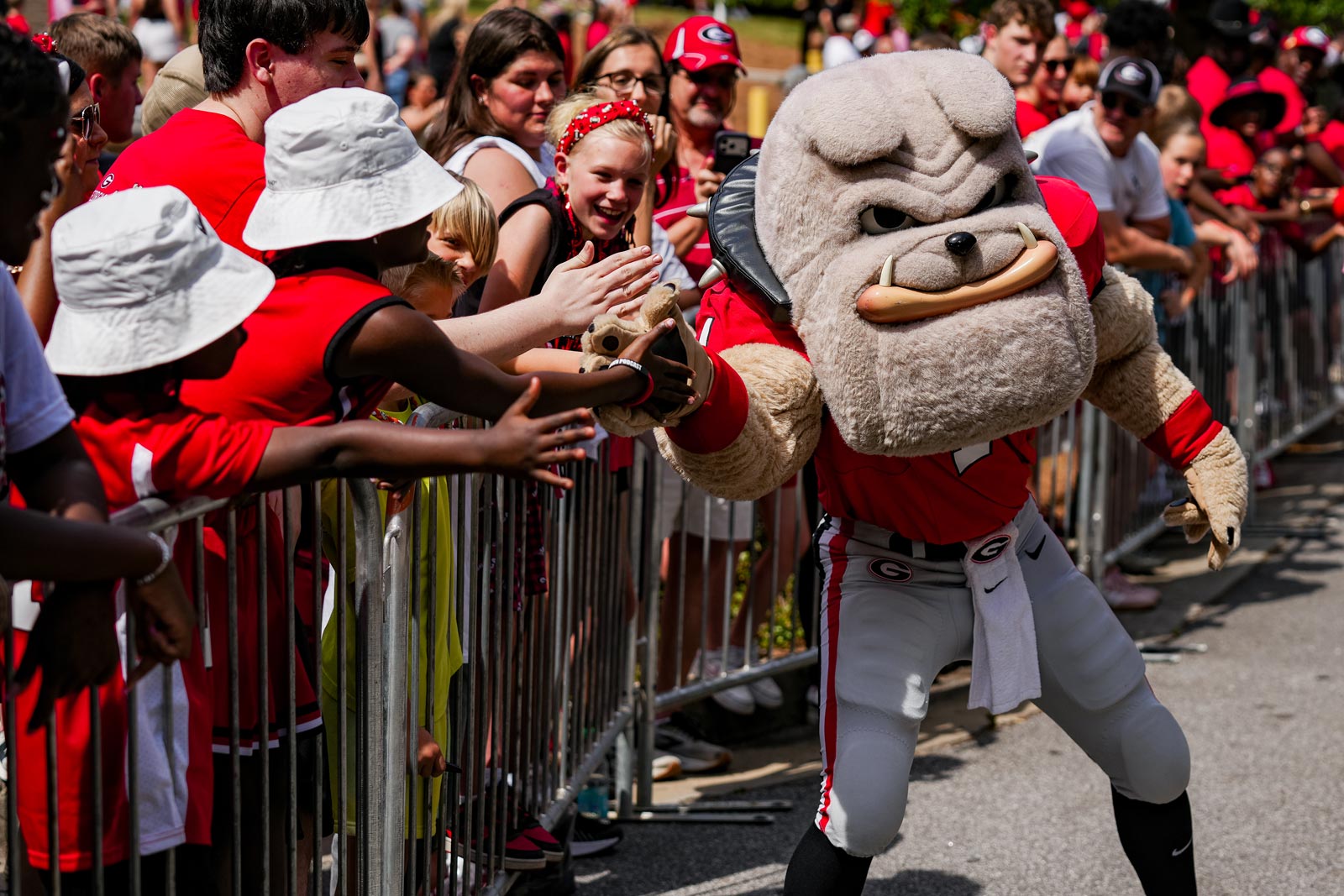Georgia Bulldogs