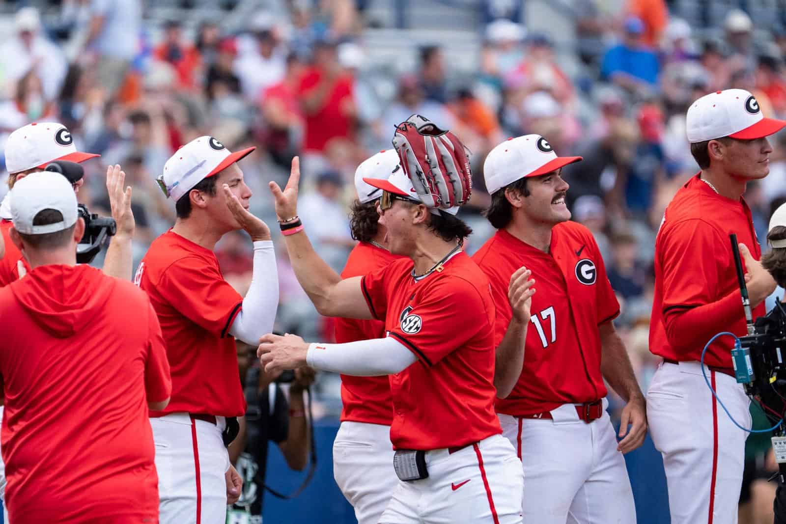 Georgia Baseball