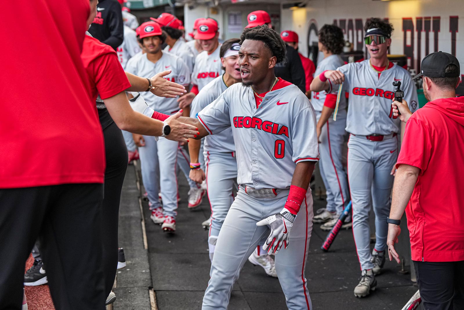 Georgia Bulldogs