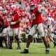 Georgia Bulldogs