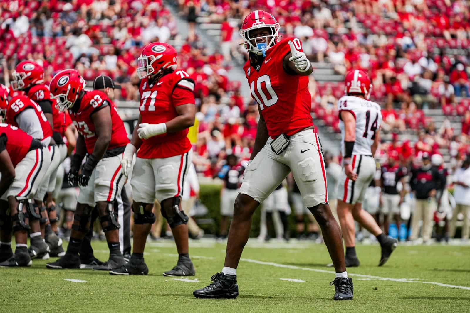Georgia Bulldogs