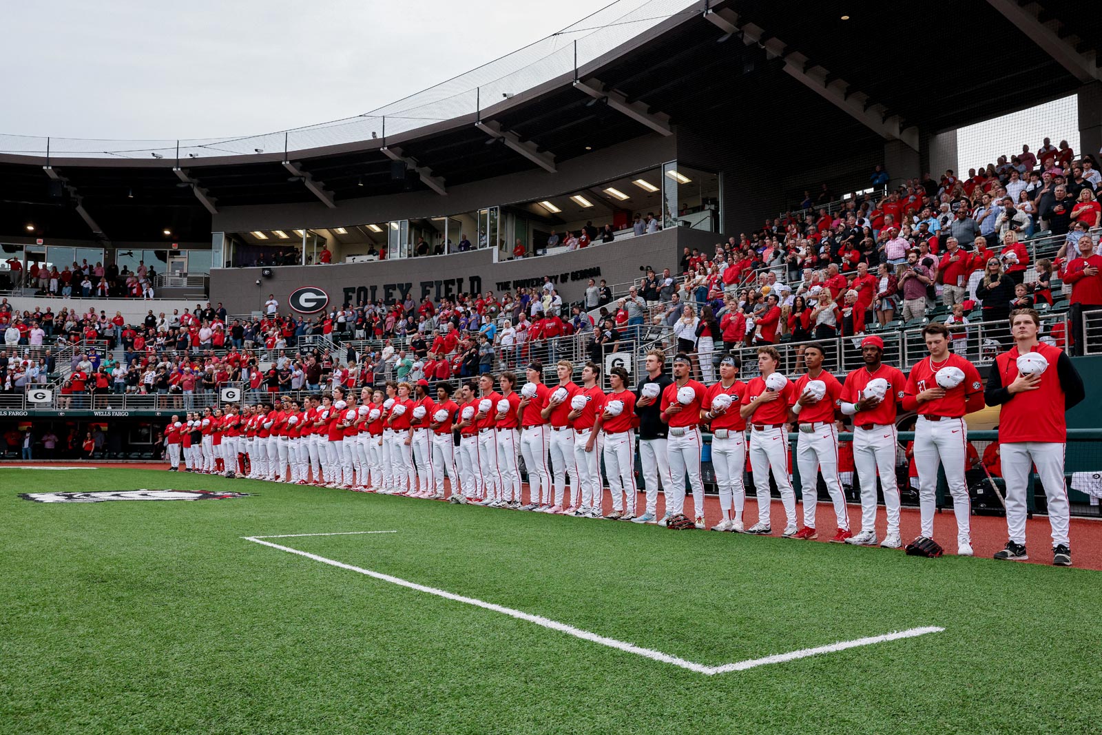 Georgia Baseball