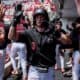 Georgia Baseball