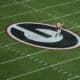 Georgia Bulldogs