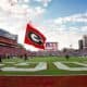 Georgia Bulldogs