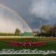Georgia Baseball