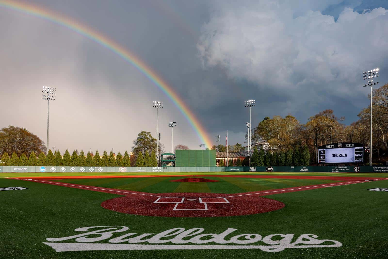 Georgia Baseball